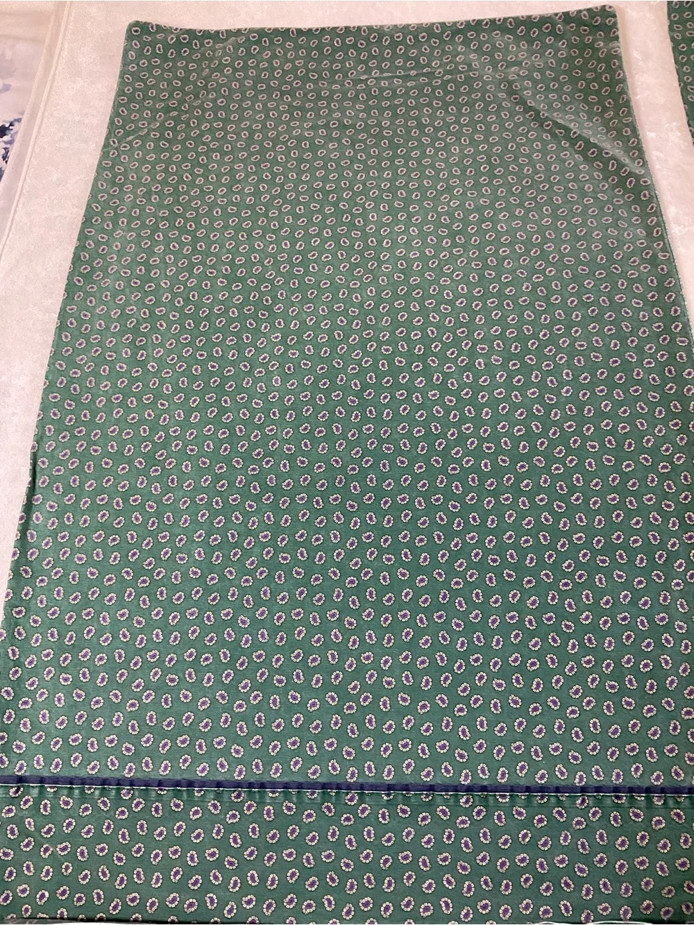 Polo by Ralph Lauren Green Printed Two Pillowcases